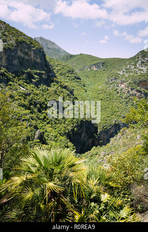 Bewaldete Hänge, die grüne Schlucht Garganta Verde, Sierra de Cádiz, Cádiz, Spanien Stockfoto