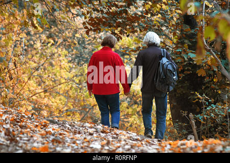 Paar hält Hände wandern in einem Wald am Berg Fruska Gora in der Nähe der Stadt Novi Sad, Serbien Stockfoto
