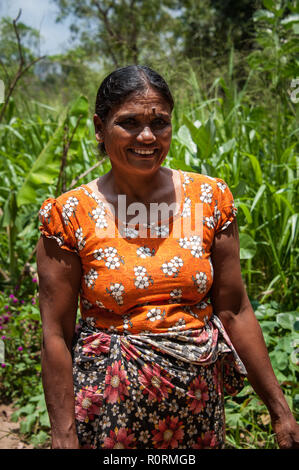 Porträt einer indischen Frau, die in ihrem Gemüsegarten. Bunte Szene, Dame in traditionellen sarong Lächeln für die Kamera gekleidet. Stockfoto