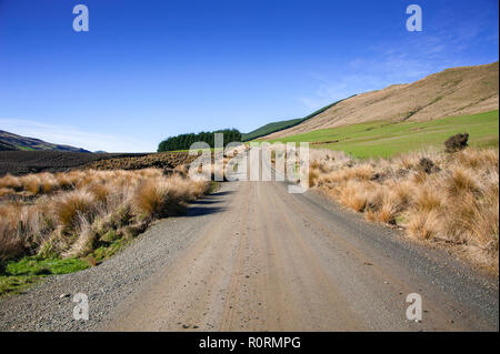 Nicht abgeschottete Straße erstreckt sich in der Ferne auf rollenackerland, Otago, Neuseeland. Ländliche Landschaft, saftig grünen Feldern anhand klarer, blauer Himmel Stockfoto