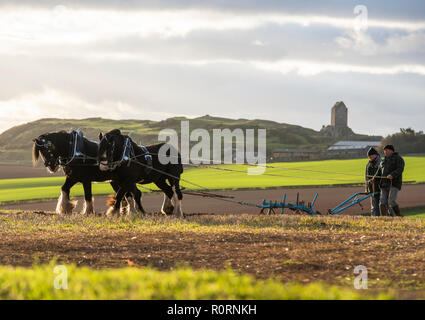 Pferde, clydesdale, Shire, Pflügen, Landwirtschaft, Land, Tradition, Event, Fotografie, phil Wilkinson Stockfoto