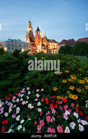 Schloss Wawel in der Nacht mit Garten im Vordergrund. Krakau, Polen. Stockfoto