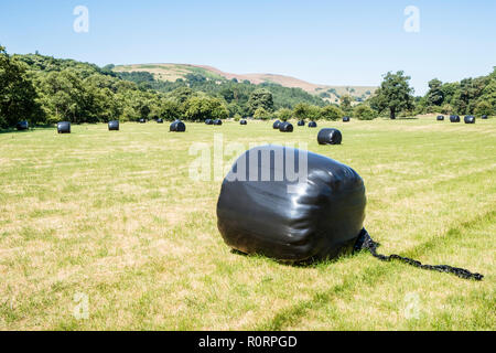 Heuballen auf Ackerland in schwarzem Kunststoff verpackt polywrap Silage zu produzieren, die auch als heulage, Derbyshire, England, Großbritannien Stockfoto