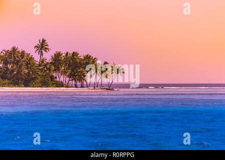 Schönen Palmen Sonnenuntergang Silhouette am tropischen Strand. Ruhigen künstlerischen Dämmerung Strand Landschaft, Ruhe und Inspiration Stockfoto