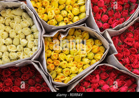 Bunte Rosen in Zeitung im Bangkok Blume Marke gewickelt, Thailand Stockfoto