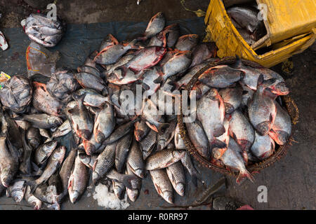 Frische Fische am Boden und in der Nähe ein Fach eines asiatischen Markt in Mandalay, Myanmar Stockfoto