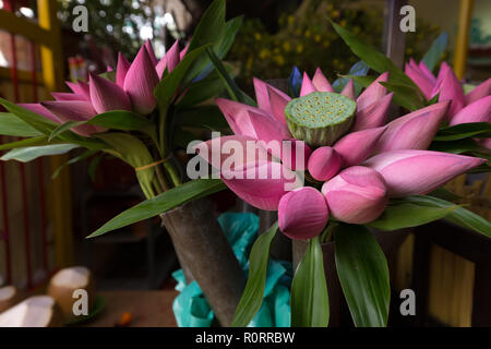 Bündel von Lotus Buds in einem Viatnam shop, verwendet als Opfergaben in buddhistischen Tempeln Stockfoto