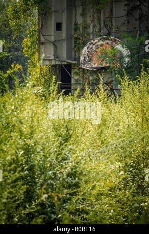 Grunge aufgegeben Basketballkorb mit bewachsenen Unkraut auf der Farm Silo Stockfoto