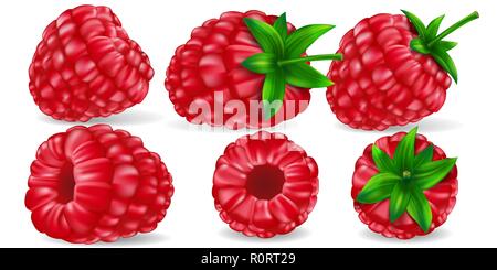 Realistische rote Himbeeren mit grünen Blättern. Bright Raspberry isoliert für Paket und Design. Gesundes Süßes Essen Konzept. Vektorgrafik Stock Vektor