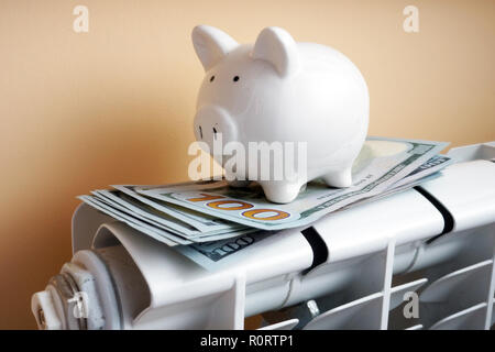 Piggy Bank und Geld auf dem Kühler. Einsparungen Konzept. Stockfoto