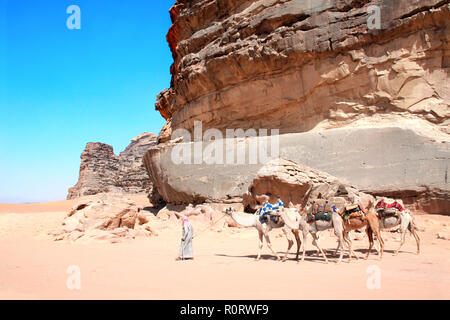 Karawane der Kamele in der Wüste Wadi Rum, Jordanien. Beduinen in traditioneller Kleidung mit vier Kamele Dromedar. In der Nähe von stein mit prähistorischen Felsmalereien Stockfoto