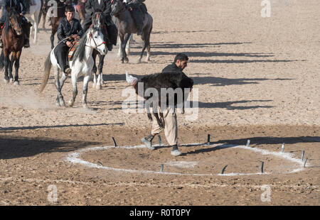 Buzkashi im Winter am Freitag, Mazar-i-Sharif, Afghanistan - das Ziel und die Karkasse Stockfoto