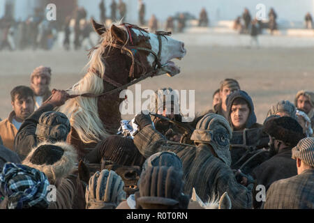 Buzkashi im Winter am Freitag, Mazar-i-Sharif, Afghanistan - Gruppe von Horse-Mounted Spieler Stockfoto