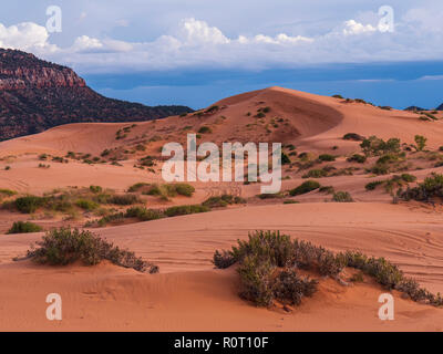 Crescent Düne, Coral Pink Sand Dunes State Park, Kanab, Utah. Stockfoto