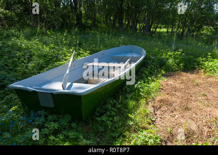 Ruderboot auf dem Boden liegend im Wald Stockfoto