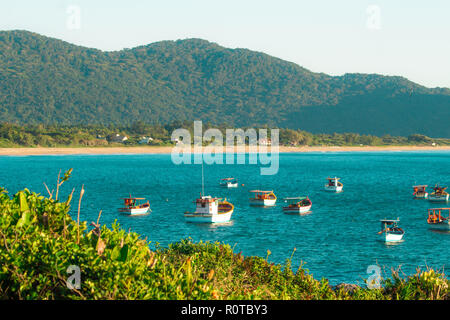 Fischer Boote über türkis-blauen Meer und grüne Natur rund um bei Florianopolis, Santa Catarina, Brasilien Stockfoto