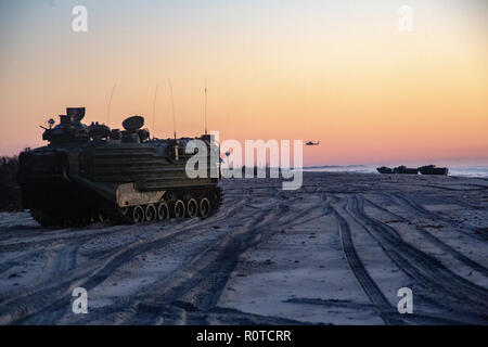 Marine AAV-P7/A1 Assault amphibian Fahrzeuge mit 2 Assault Amphibian Bataillon, Bataillon Landung Team, 1.BATAILLON, 2. Marine Regiment, 22 Marine Expeditionary Unit, simulieren eine Amphibische Angriffe während der kombinierten Training Unit Übung auf der Marine Corps Base Camp Lejeune, N.C., Okt. 31, 2018. COMPTUEX ist die letzte Übung vor der Bereitstellung, dass der kombinierte Kearsarge Amphibious Ready Gruppe und Fähigkeiten 22 Marine Expeditionary Unit AAV/militärische Operationen auf See und Projekt Power an Land durch gemeinsame Planung und Durchführung von anspruchsvollen und realistischen Szenarien Verhalten bescheinigt. (U Stockfoto