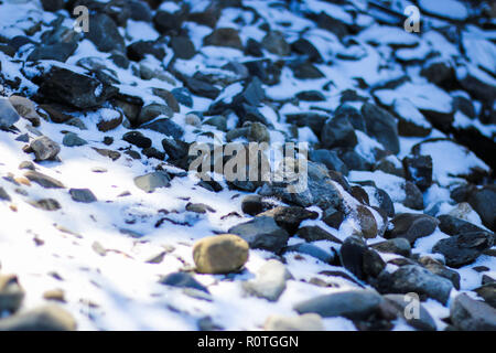 Ein Boden bedeckt im Schnee auf dem Berg Mont Megantic Nationalpark - Quebec Stockfoto