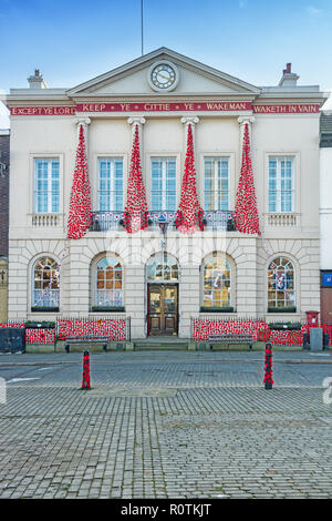 Ripon Mohnblumen im Rathaus Stockfoto