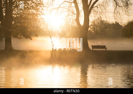 Man joggen mit frühen Morgen Sonne durch den Nebel am Avon im Herbst gesehen Stockfoto
