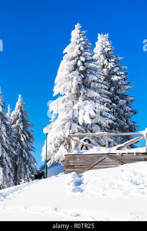 Winter Ferienhäuser Hintergrund mit Pinien von schweren Schnee gegen den blauen Himmel bedeckt Stockfoto