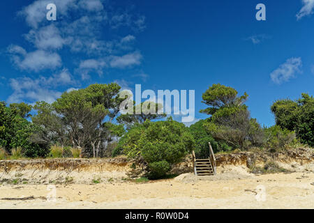 Holz- Schritte zum Strand, ein wenig Kaiteriteri, Neuseeland Stockfoto