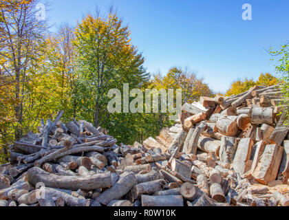 Gesägt Baumstämme in verschiedenen Größen die Verlegung in Haufen vor dem Hintergrund des blauen Himmels und Bäume mit Herbst Laub. Griechenland Stockfoto