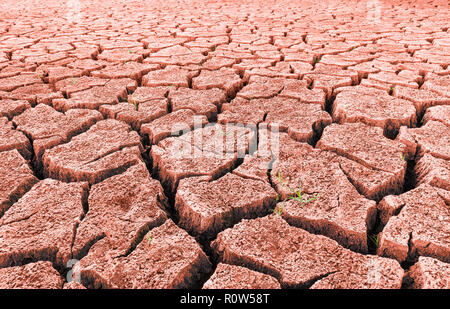 Rote trockene Wüste. Sprießende Gras und Risse. Split trockenes Land. Überlebende grünes Wachstum. Abstrakte Textur von Trockenheit. Karge Landschaft. Ökosystem. Stockfoto