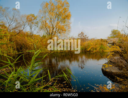 Ruhige Gegend von einem Fluss durch gelbe Bäume im Herbst umgeben Stockfoto