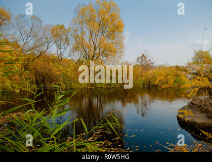 Ruhige Gegend von einem Fluss durch gelbe Bäume im Herbst umgeben Stockfoto