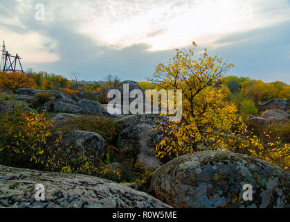 Ruhige Gegend von einem Fluss durch gelbe Bäume im Herbst umgeben Stockfoto