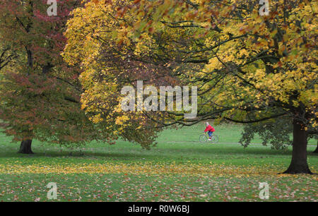 Ein Radfahrer im Green Park, London. Stockfoto