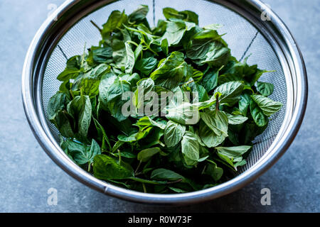 Frische Minze in Edelstahl Metall Sieb. Organische pflanzliche Nahrung. Stockfoto
