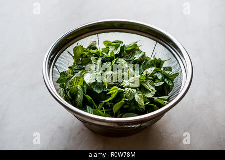 Frische Minze in Edelstahl Metall Sieb. Organische pflanzliche Nahrung. Stockfoto