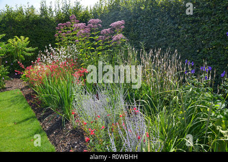 Bunte Blume Grenze mit attraktiven gemischte Bepflanzung mit Eupatorium maculatum in einem Land, Garten Stockfoto