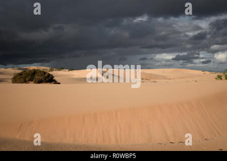 Sonne und dunkle dramatische cloads erstellen Eine schöne interessante Himmel über Wüstensand im Naturpark von Corralejo, Fuerteventura, Las Palmas, Kanarische i Stockfoto