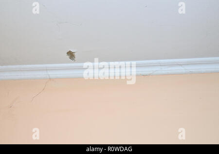 Decke mit einem Sprung und Wand mit Teilen von einem Spinnennetz Stockfoto