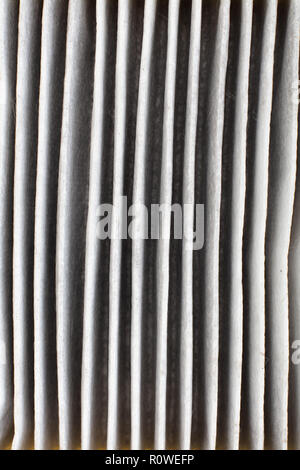 Ändern eines Auto cabin Pollenfilter. Detail-High efficiety Partikelfilter Luftfilter. (Alte - Rückseite) Textur Stockfoto