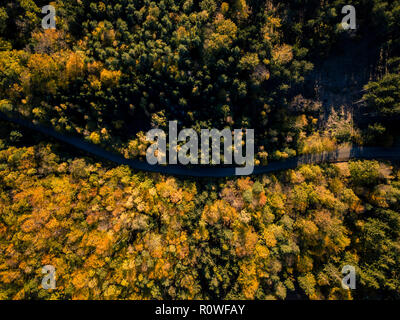 Luftaufnahme von der Straße in den Wald, von oben betrachten, drone Sicht. Inspirierende Herbst Landschaft Hintergrund. Stockfoto