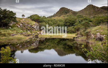 Blick auf den See rund um den Ring of Kerry, Killarney National Park, Irland, Europa Stockfoto