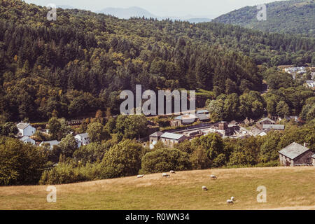 Dampfzug auf der Seeseite und Haverthwaite Linie durch Backbarrow, Cumbria, Stockfoto