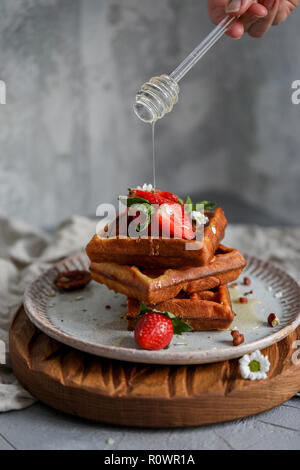 Belgische Waffeln mit Erdbeeren und Honig am grauen Platte auf Holz Brett bei Bray Hintergrund, Kamille in der Nähe von Stockfoto