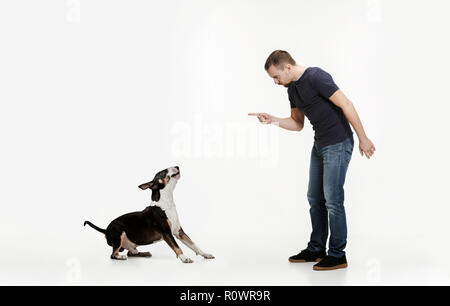 Emotionale Portrait von Mann und sein Hund, Konzept von Freundschaft und Fürsorge von Mensch und Tier. Bull Terrier Typ Hund auf weißem Studiohintergrund Stockfoto