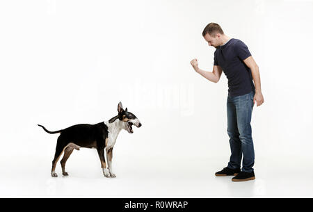 Emotionale Portrait von Mann und sein Hund, Konzept von Freundschaft und Fürsorge von Mensch und Tier. Bull Terrier Typ Hund auf weißem Studiohintergrund Stockfoto