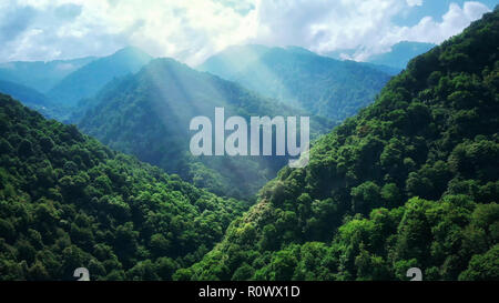 Bergwald in Nebel und Wolken. Luftaufnahme von über grüne Hügel mit weißen Nebel, Wolken. Guria region, Georgia. Tief liegenden Wolken über Evergreen Fores Stockfoto