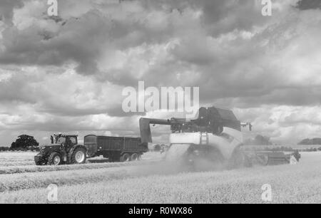 Moderne Maschinen Ernten ein Feld von Hafer auf einem hellen sonnigen Morgen im Sommer am 10. August 2018 in Beverley, Yorkshire, Großbritannien. Stockfoto