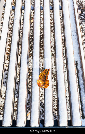 Gefallenen Blatt auf Holzbank mit dem ersten Schnee im städtischen Garten im frostigen Herbst Tag abgedeckt Stockfoto