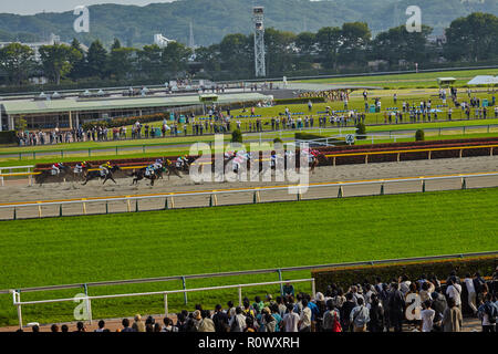 Tokio, Japan. April 2018 Tokyo Rennbahn. Vollblutpferde in Bewegung mit Jockeys an der Ziellinie der Rennen . Stockfoto