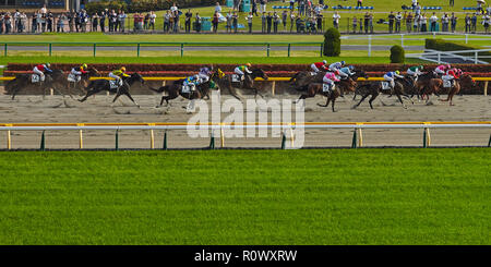 Tokio, Japan. April 2018 Tokyo Rennbahn. Vollblutpferde in Bewegung mit Jockeys an der Ziellinie der Rennen . Stockfoto