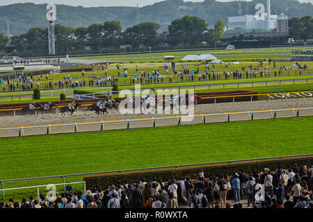 Tokio, Japan. April 2018 Tokyo Rennbahn. Vollblutpferde in Bewegung mit Jockeys an der Ziellinie der Rennen . Stockfoto